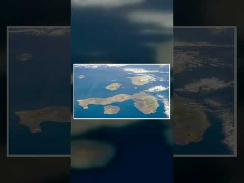 The Island-Saving Eradication Mission That Became the GOAT | GOATpedia Short