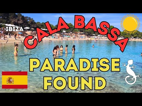 🏖️ Cala Bassa – Paradise Found