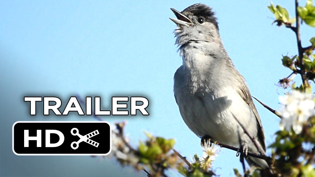 Emptying the Skies — Official Trailer