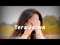 Jalwa Daler Mehandi Slowed Reverb Trending