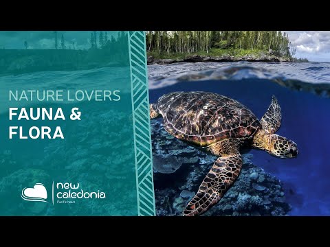 Flora and Fauna - New Caledonia