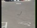 Roadrunner With Rooster Song