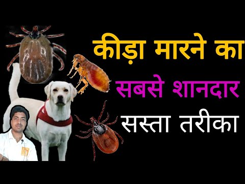 , title : 'Master Course : Heavy TICKS control in 5 minutes for DOGS @PomtoyAnurag'