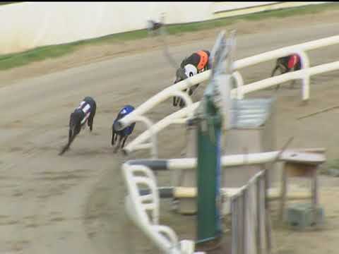 2017 WILLIAM HILL STAYERS A - T6 MASTER KELLY