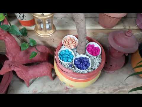 Sushri's Garden Style