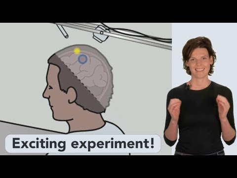 Can quantum physics enable free will? Explaining our experiments.