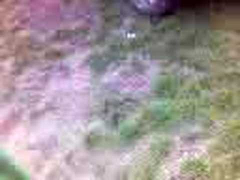 Eruru w Akcji ze Stargardu Szczecińskiego