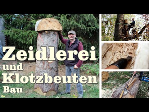 Zeidlerei und Klotzbeuten Bau