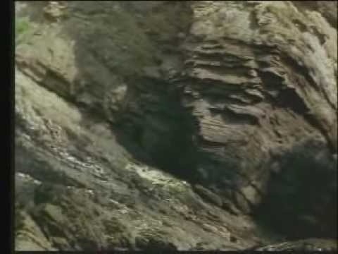 Famous Five 2-7 Five Runaway Together (Part 2)