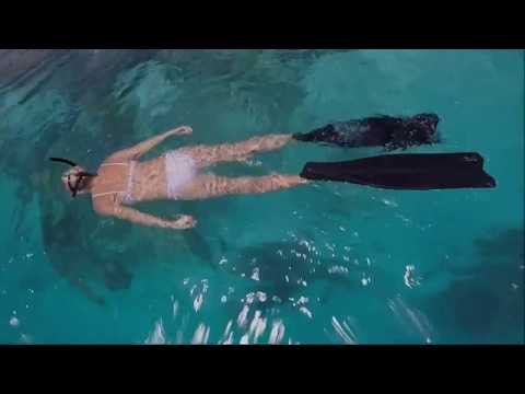 Sexy Snorkeling