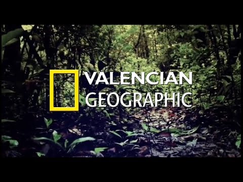 Valencian Geographic - Capítulo 1 - Las Dotoras
