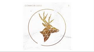 Wonder - Common Deer