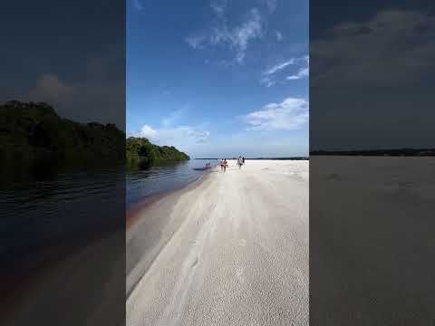 Praia Grande de Barcelos no Amazonas.