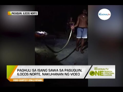 One North Central Luzon: Paghuli sa Sawa, Nakuhanan ng Video