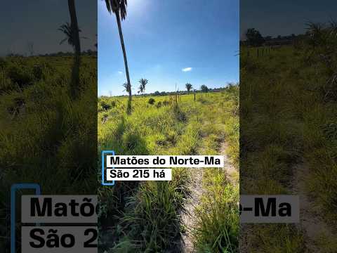 ESSA TERRA TEM CONDIÇÕES DE PAGAMENTO NO MARANHÃO