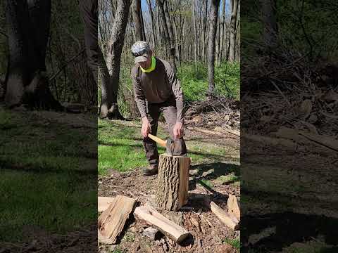 Casterman 5.5lb Timberpilot Destroys Ash!