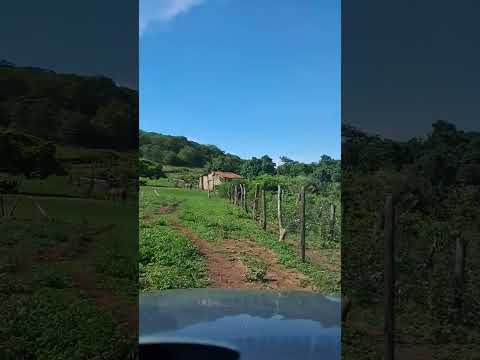Zona rural de Guaraciama MG