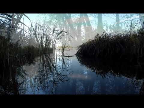 Felicia Falck - I am (Official Video)