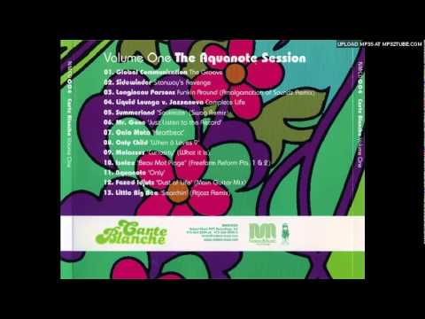 Funkin Around (Amalgamation of Soundz Remix) - Longineau Parso
