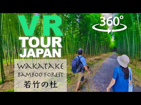 【Insta360 X3】skillism VR/360 - Four Seasons Bamboo Forest Wakayama Farm, TOCHIGI