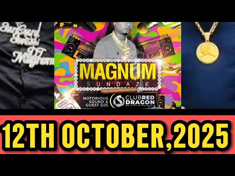 NOTORIOUS INT SOUND "DJ MAGNUM🇬🇾/SEENUP🌏" @MAGNUM SUNDAZE "CLUB RED DRAGON🐲 12TH OCT