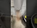 Oneida V3000 Filter Vibrator, improving the ability to keep the filter clean.
