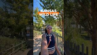 I Visited One of the Best Zoos in the Country!