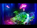 INSOMNIA RELIEF [ Fall Asleep Fast ] "The Glow Forest,, | Binaural Beats Sleep Music