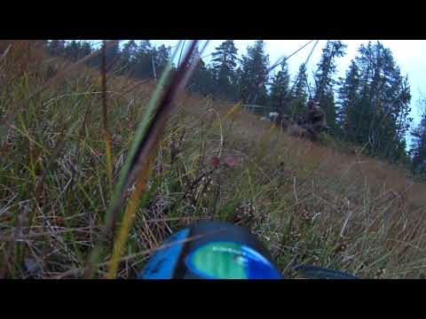 Vådeskudd. 29/9 - 2017