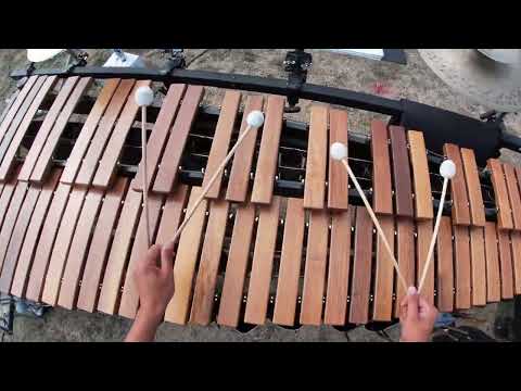 Blue Devils B 2022 - Center Marimba Cam - Aldrich Yanga