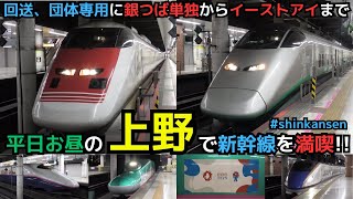 【上野で色んな新幹線見れた！】回送、団体専用に銀つば単独からイーストアイまで！　#shinkansen  #ueno #tokyo