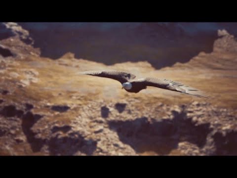 A CAVALLO DEL VENTO (voce AI)