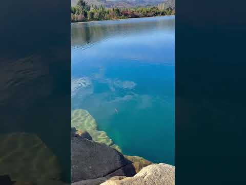 La Angostura, Villa Pehuenia, Neuquén 🍁🍂🐟🏞️ #patagonia 15/5/26