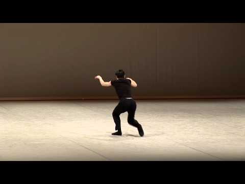 Jinhao Zhang - 2013 Selections - Contemporary variation