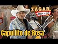 Capullito De Rosas - Cornelio D Reyna - Zagar Desde El Bar