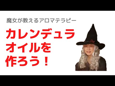 マリーゴールドオイルを自分で作る:これが仕組みです 植物