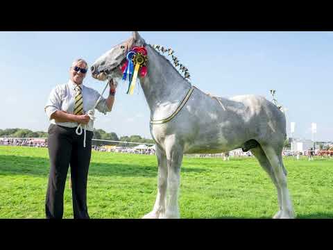 A shocking death and a fond farewell!