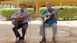 Luiz Faria e Silva Neto - Rosa