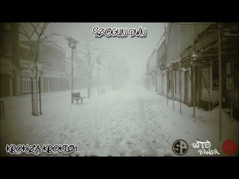 Szogun DWN-Krok za Krokiem (Prod.Coalt Art)