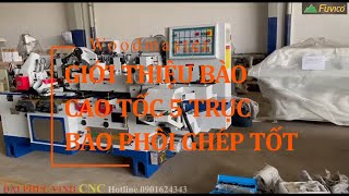 Giới thiệu chi tiết bào 4 mặt 5 trục cao tốc của Woodmaster Model WM-518GH.