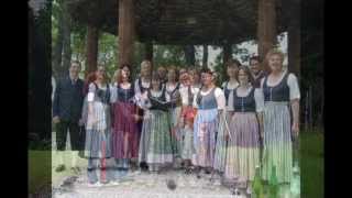 preview picture of video 'Chor- und Volkstanzgrupppe Krems/Lerchenfeld'