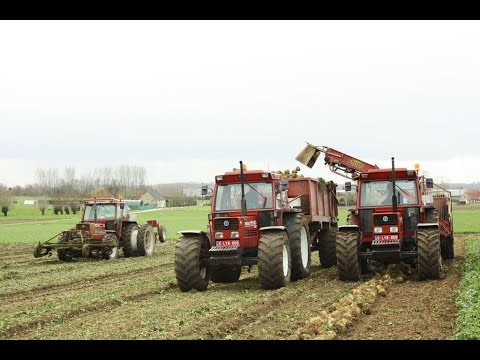 Landb. Vanoverberghe - Klerken - 3x Fiatagri / New Holland 110-90 - Gilles