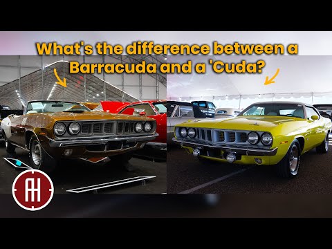 What's the difference? Comparing the 1971 Barracuda and 'Cuda