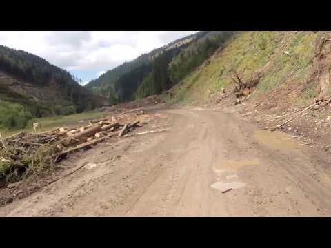 Neagra Brosteni by LAURENTIU COZMA