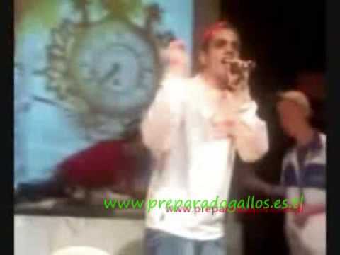 3y4 puesto el tonio vs danié www preparadogallos es tl