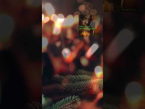 Maria Durch Ein Dornwald Ging - Misc Christmas