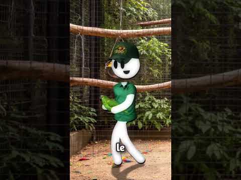 Génie dans une Cage