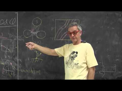 ChaosBook.org chapter Charting the state space - Qualitative dynamics: 3 disk ternary grammar