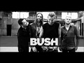 Bush - All the worlds within you