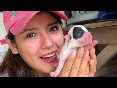 The Family Grows Here in the Countryside ~ Saida ZC ~ 💚